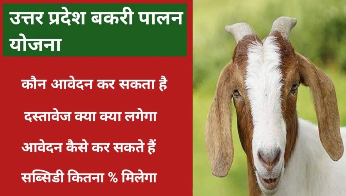 Bakri Palan Yojana 