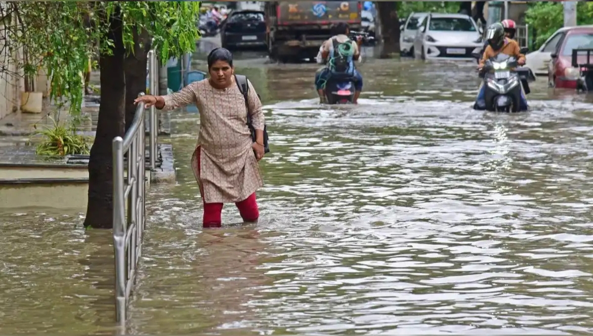 Rain Disaster