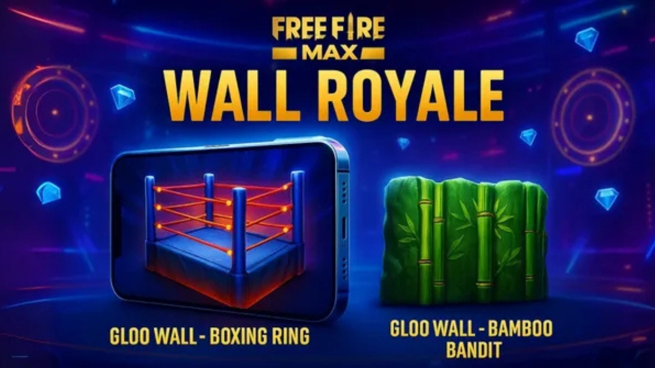 Gloo Wall Boxing Ring